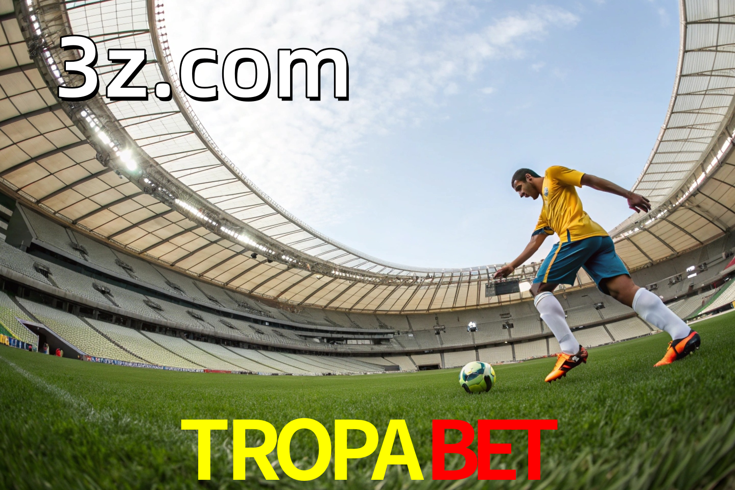 apostas esportivas